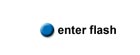 Enter Flash Website